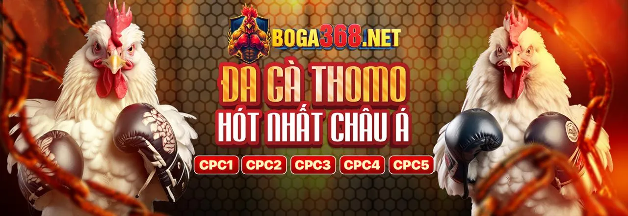 Giấy phép và thành tựu của bj888 win